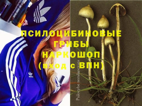 винт Балахна