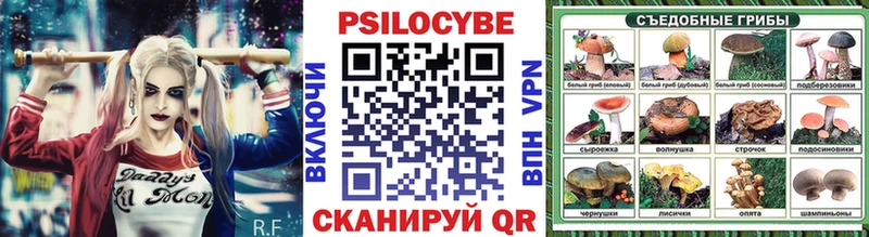 Псилоцибиновые грибы Cubensis  Озёры 